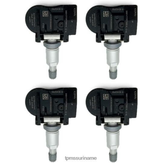 B6JL6B1704 tpms haval/gwm de druksensor 3641100akz16a 433mhz TPMS sensoren inleren