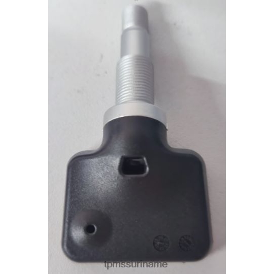 B6JL6B1773 tpms leopaard de druksensor a133608020 433mhz TPMS ventielen
