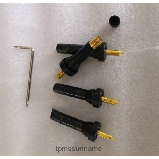B6JL6B1257 Tpms Rongwei bandenspanningsensor 10718213 TPMS sensoren prijs