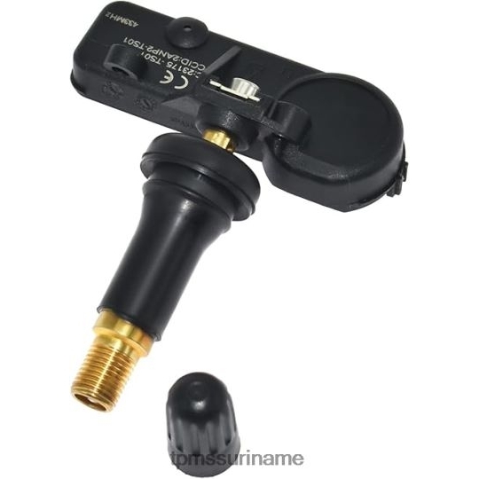 B6JL6B1289 Tpms saic datsun bandenspanningsensor tp3040001 TPMS resetten